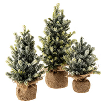 Load image into Gallery viewer, Faux Frosted Pine Tabletop Tree- Multiple Sizes