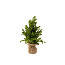 Load image into Gallery viewer, Faux Cedar Tabletop Tree- Multiple Sizes