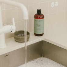 Load image into Gallery viewer, Liquid Dish Soap | Melon + Salty Air