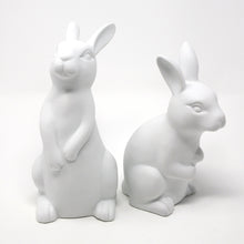 Load image into Gallery viewer, Decorative Bunny
