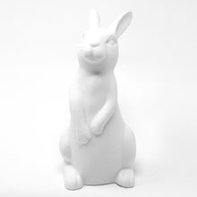 Load image into Gallery viewer, Decorative Bunny
