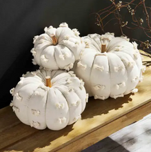 Load image into Gallery viewer, Fringe Pumpkin Collection