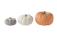 Load image into Gallery viewer, Classic Cotton Pumpkin Collection