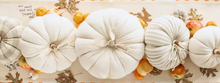 Load image into Gallery viewer, Cream Cotton Pumpkin Collection