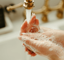 Load image into Gallery viewer, BAMBOO + CITRUS ZEST Liquid Hand Soap