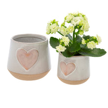 Load image into Gallery viewer, Lots of Love Pot - Pink