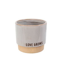 Load image into Gallery viewer, Love Grows Planters Pot