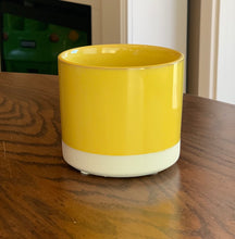 Load image into Gallery viewer, Happy Planter Collection