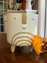 Load image into Gallery viewer, Happy Planter Collection