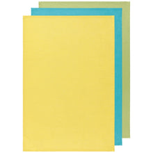 Load image into Gallery viewer, Floursack Dish Towel - Multiple Colours