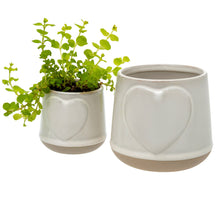 Load image into Gallery viewer, Lots of Love Pot - White