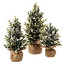 Load image into Gallery viewer, Faux Frosted Pine Tabletop Tree- Multiple Sizes
