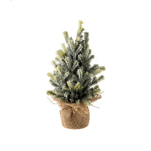 Load image into Gallery viewer, Faux Frosted Pine Tabletop Tree- Multiple Sizes
