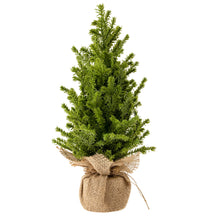 Load image into Gallery viewer, Faux Cedar Tabletop Tree- Multiple Sizes
