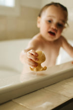 Load image into Gallery viewer, Easy Clean Bath Toy Bundles
