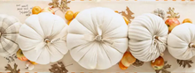 Load image into Gallery viewer, Cream Cotton Pumpkin Collection
