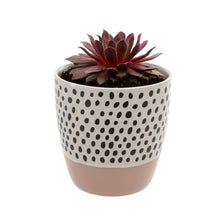 Load image into Gallery viewer, Polkadot Planter Collection
